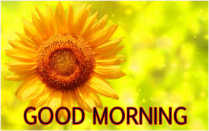 Good Morning Images HD Download - NewTechyTips